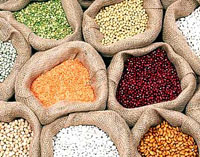 Commodity Outlook for Guar by Kedia Commodity